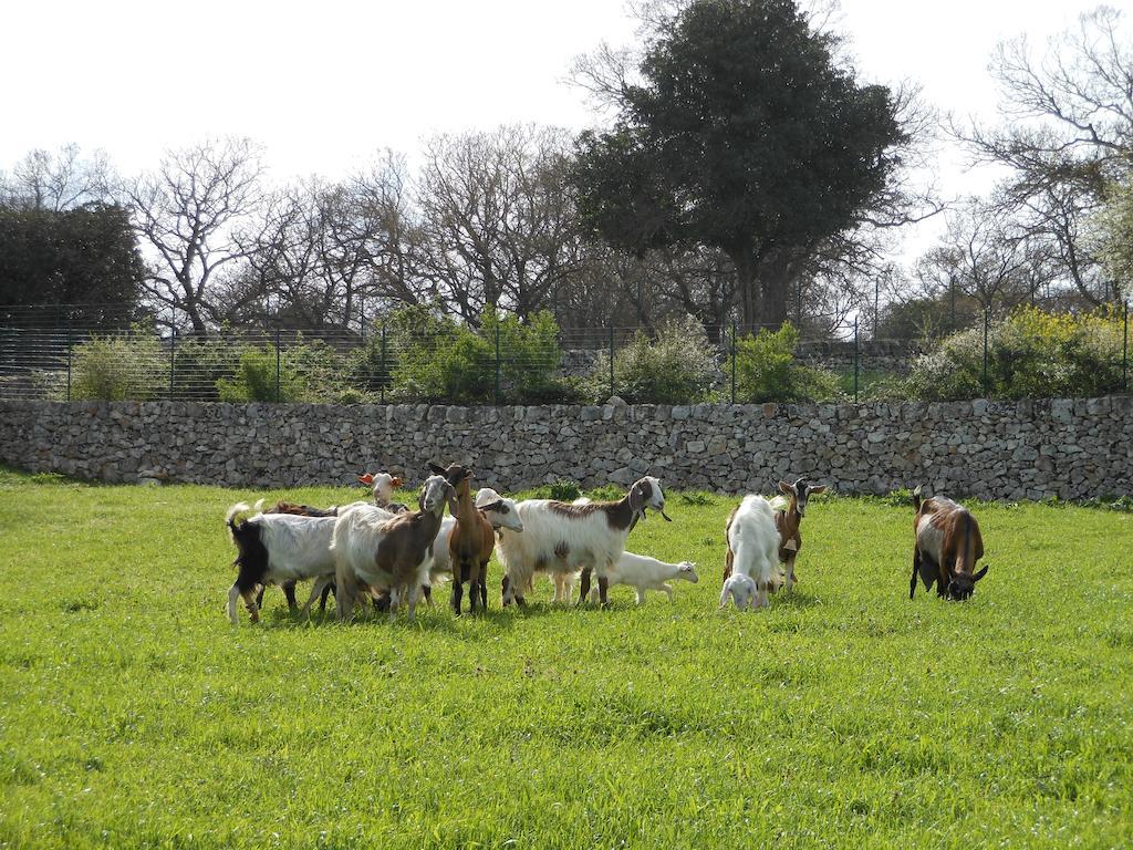 Agriturismo Masseria Casedde Vecchie Villa Martina Franca Ngoại thất bức ảnh