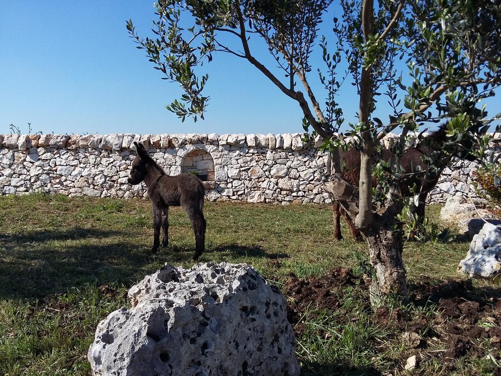 Agriturismo Masseria Casedde Vecchie Villa Martina Franca Ngoại thất bức ảnh